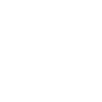 pioneer